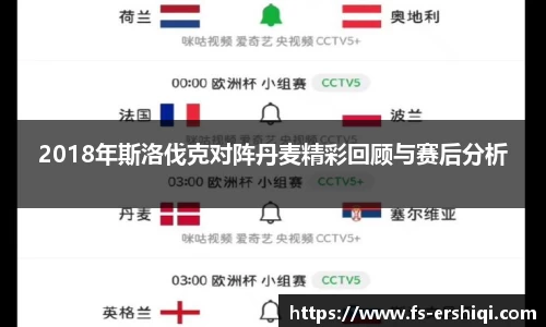 2018年斯洛伐克对阵丹麦精彩回顾与赛后分析